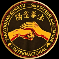 Yangyiquan Kung Fu — Self Defense Association International